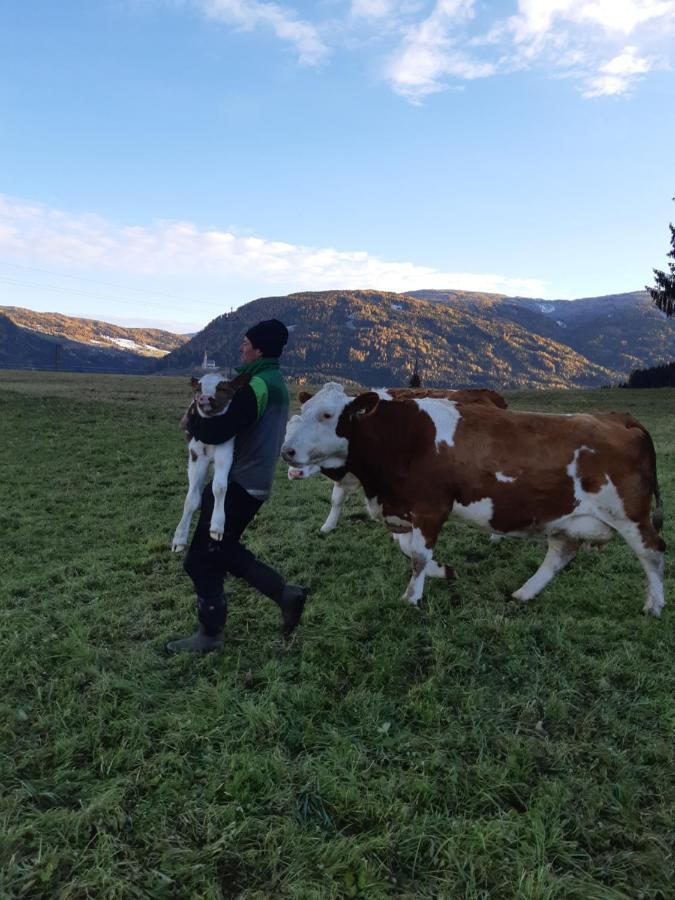 Bio Bauernhof Schoberhof Villa Sankt Andrä im Lungau Exteriör bild