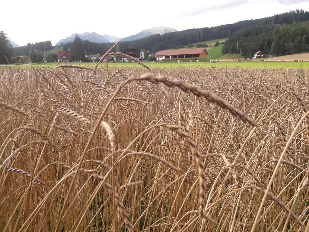 Bio Bauernhof Schoberhof Villa Sankt Andrä im Lungau Exteriör bild