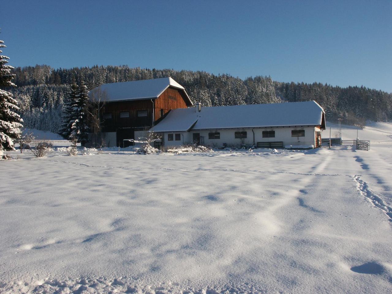 Bio Bauernhof Schoberhof Villa Sankt Andrä im Lungau Exteriör bild